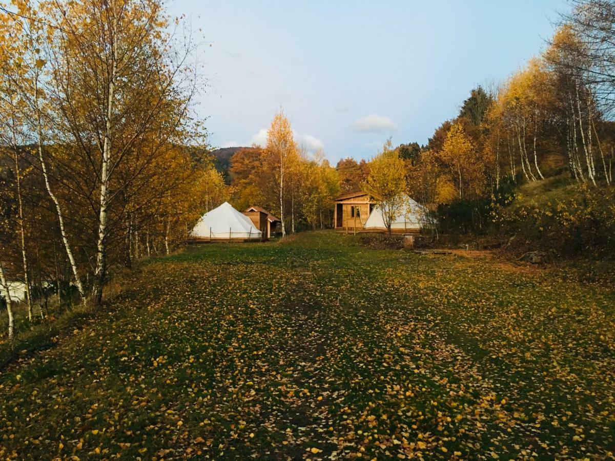 Silver Trees - Glamping Fresse-sur-Moselle ภายนอก รูปภาพ